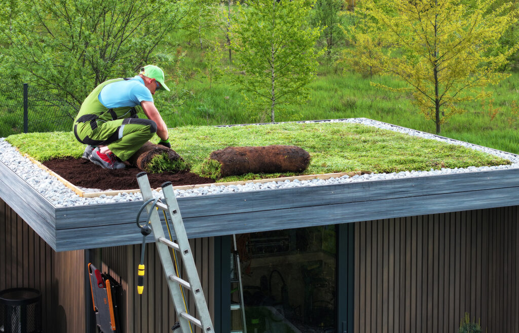 dach zielony prefabrykat