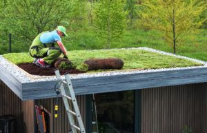 dach zielony prefabrykat