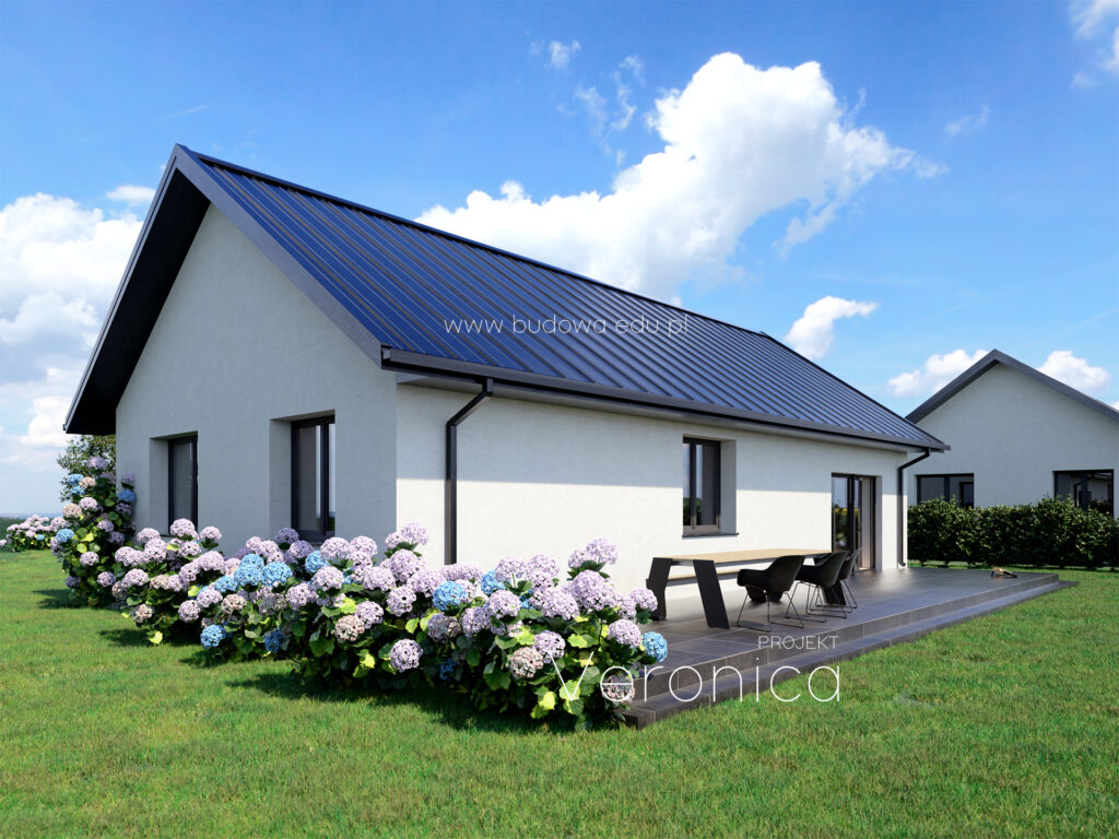 czy warto kupić dom