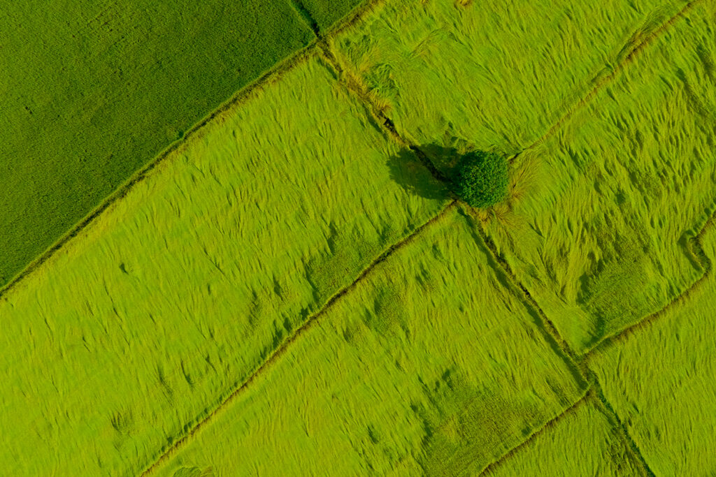 działka bez planu miejscowego