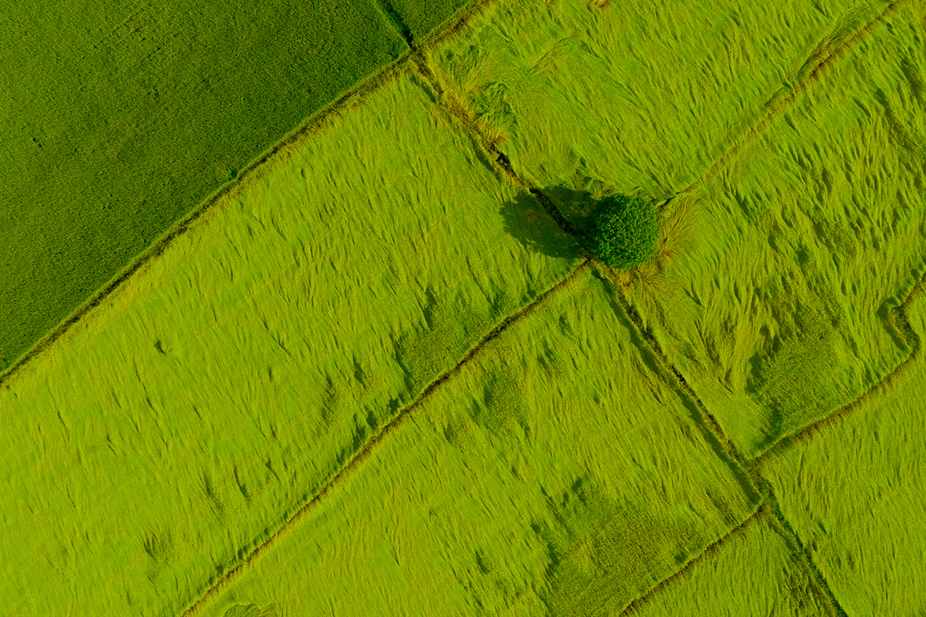 działka bez planu miejscowego