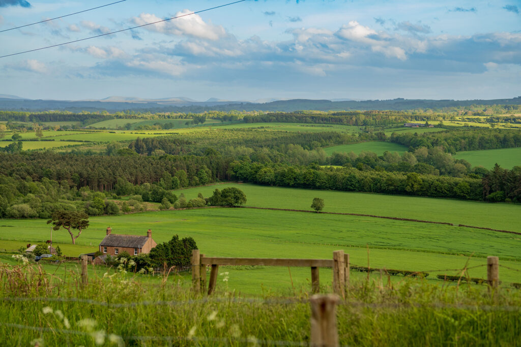 koszt działki pod dom